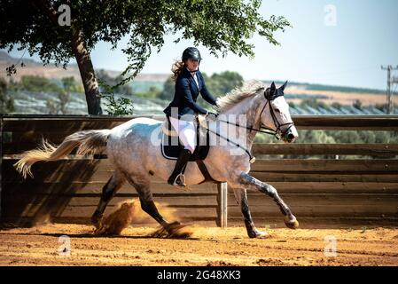 Cohen Mor et Boston de Montini. Championnat de saut à cheval d'Israël, juin 2021 Banque D'Images