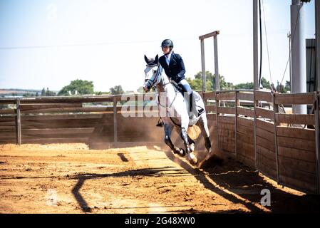 Cohen Mor et Boston de Montini. Championnat de saut à cheval d'Israël, juin 2021 Banque D'Images