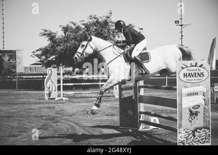 Cohen Mor et Boston de Montini. Championnat de saut à cheval d'Israël, juin 2021 Banque D'Images