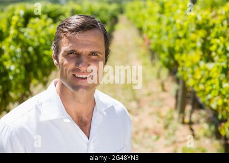 Portrait d'un vigneron souriant debout dans un vignoble Banque D'Images