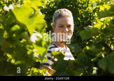 Portrait de femme debout en vignoble vigneron Banque D'Images