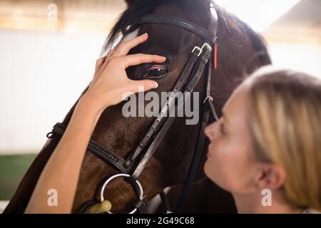 Gros plan de la femelle vétérinaire vérifiant l'œil de cheval Banque D'Images