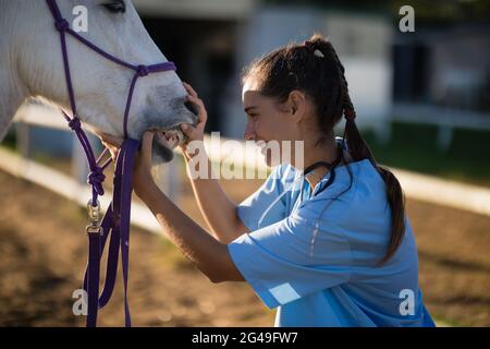 Vue latérale du vétérinaire femelle vérifiant les dents des chevaux Banque D'Images