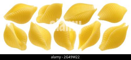 Porte de la pointe Conchiglie. Pâtes à coque brutes isolées sur fond blanc Banque D'Images
