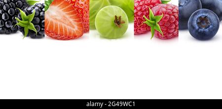 Texture de baies avec espace de copie, bordure de baie, photo panoramique Banque D'Images