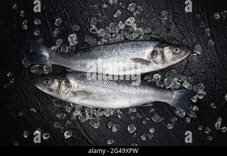 Poisson frais de mer sur glace sur fond noir Banque D'Images