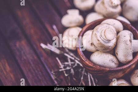 Champignons sur fond de bois foncé avec espace de copie. Photo filtrée dans un style vintage Banque D'Images