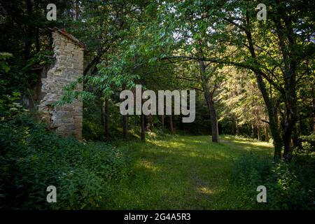 Ruines dans le bois. Podere Montebello, Modigliana, Forlì, Emilia Romagna, Italie, Europe. Banque D'Images