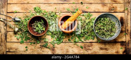 Mortier avec un pilon avec une orthilia secunda médicinale sèche.herbes médicinales dans la médecine de fines herbes. Banque D'Images