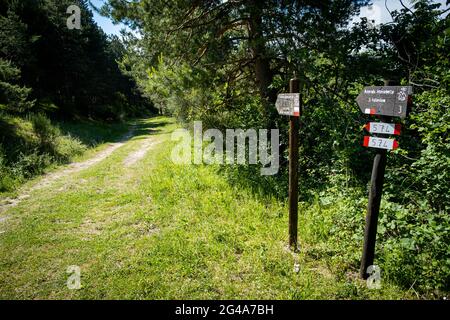 Podere Montebello, Modigliana, Forlì, Emilia Romagna, Italie, Europe. Banque D'Images