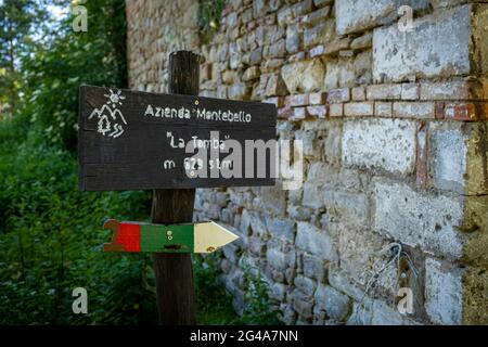 Podere Montebello, Modigliana, Forlì, Emilia Romagna, Italie, Europe. Banque D'Images