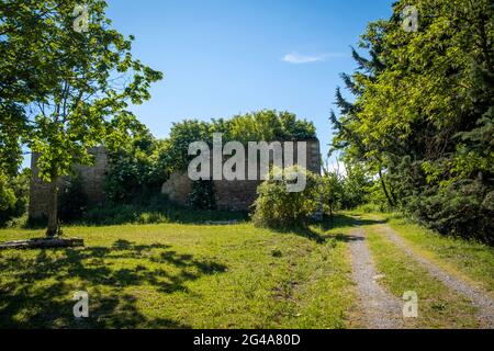 Podere Montebello, Modigliana, Forlì, Emilia Romagna, Italie, Europe. Banque D'Images