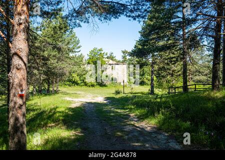 Ruines dans le bois. Podere Montebello, Modigliana, Forlì, Emilia Romagna, Italie, Europe. Banque D'Images