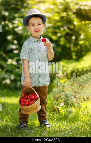 le petit garçon mange des fraises mûres dans le jardin Banque D'Images