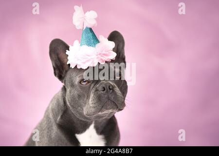 Portrait d'un chien Bulldog français noir portant un chapeau de fête sur fond rose Banque D'Images
