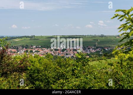 Ingelheim, Rhein, Allemagne pendant l'été Banque D'Images