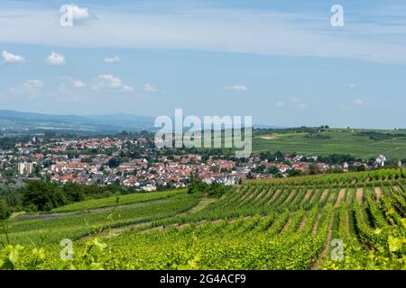 Ingelheim, Rhein, Allemagne pendant l'été Banque D'Images