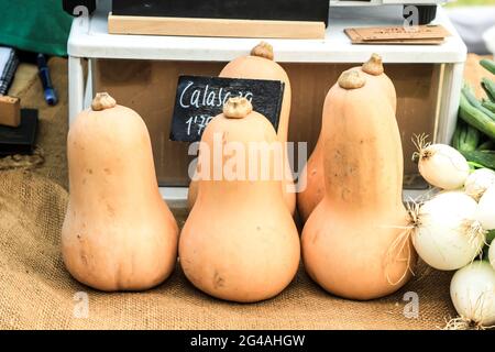 Elche, Alicante, Espagne- 26 janvier 2021: Citrouilles fraîches à vendre sur un marché écologique et durable dans la campagne d'Elche Banque D'Images