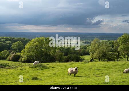 Vue de Dovers Hill près de Chipping Campden dans les Cotswolds du Nord, Gloucestershire, Angleterre. Banque D'Images