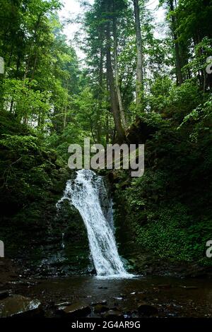 cascade de rivière de montagne s'écoulant entre les rives rocheuses dans les montagnes Carpates, Ukraine Banque D'Images