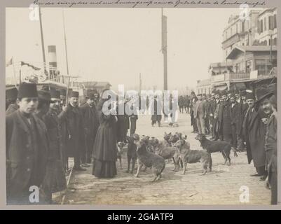 Femme voyageur avec groupe de chiens au milieu des hommes sur la galakade à Istanbul. Partie d'un album photo d'un voyage à travers l'Europe du Sud et le Moyen-Orient. Banque D'Images