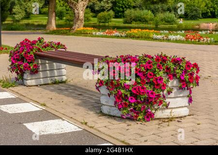 Un banc intéressant dans le parc de la ville de Pskov. Banque D'Images