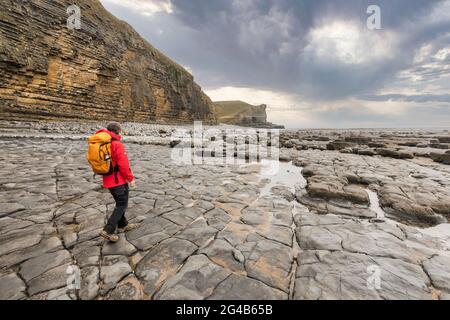 Marche sur la plage de Traeth Mawr sur le Wales Coast Path près de Monknash, pays de Galles, Royaume-Uni Banque D'Images