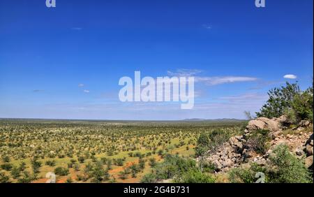 Überblick über die Landschaft im westlichen Etosha Nationalpark, Namibie | paysage dans la partie ouest du parc national d'Etosha, Namibie Banque D'Images