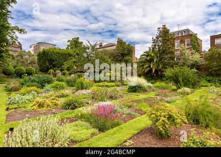 LONDRES ANGLETERRE LE CHELSEA PHYSIC GARDEN AU DÉBUT DE L'ÉTÉ REGARDANT À TRAVERS DIFFÉRENTS LITS DE FLEURS VERS LE HANGAR Banque D'Images