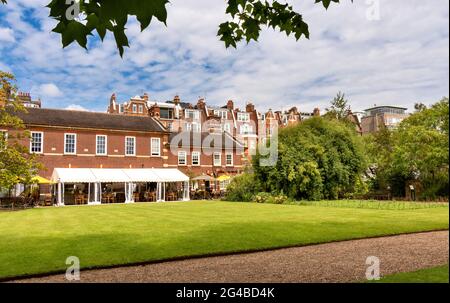 LONDRES ANGLETERRE LE JARDIN PHYSIQUE DE CHELSEA AU DÉBUT DE L'ÉTÉ LE CAFÉ ET LA PELOUSE VERTE Banque D'Images