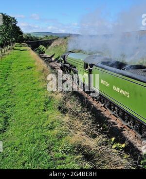 Nouvelle classe A1 pacific No 60163 Tornado passant par Washford sur le chemin de fer West Somerset.15th septembre 2010. Banque D'Images