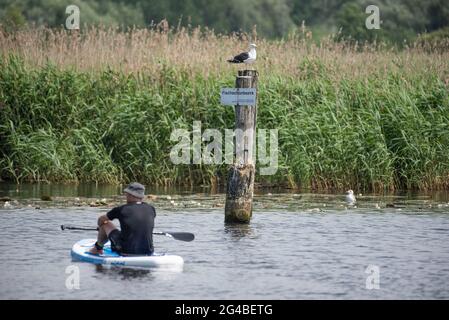 Rostock, Allemagne. 20 juin 2021. Un pagayeur sur la Warnow se trouve en face de la zone marquée du 'sanctuaire de poissons'. Ce week-end, les vacances d'été dans le Mecklembourg-Poméranie-Occidentale commencent en milieu d'été. Credit: Frank Hormann/dpa/Alay Live News Banque D'Images