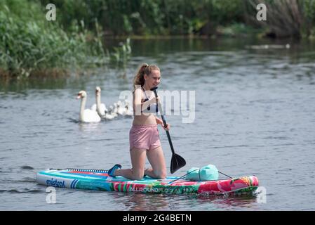 Rostock, Allemagne. 20 juin 2021. Anika pagaie sur la Warnow, en arrière-plan une famille de cygnes. Ce week-end, les vacances d'été dans le Mecklembourg-Poméranie-Occidentale commencent en milieu d'été. Credit: Frank Hormann/dpa/Alay Live News Banque D'Images