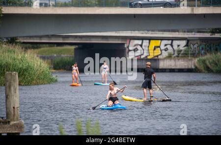 Rostock, Allemagne. 20 juin 2021. Levez les pagayeurs sur la Warnow, en arrière-plan le pont routier de la route fédérale 105. Ce week-end, les vacances d'été dans le Mecklembourg-Poméranie occidentale commencent en haute saison estivale. Credit: Frank Hormann/dpa/Alay Live News Banque D'Images