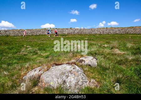 Les gens et les familles qui marchaient le long d'une section du gazon ont renversé le mur de clayton tout en marchant sur le sentier national longue distance du mur d'Hadrien Banque D'Images