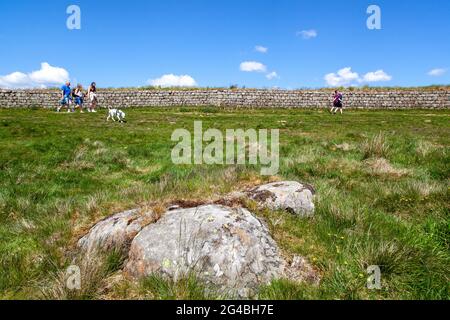 Les gens et les familles qui marchaient le long d'une section du gazon ont renversé le mur de clayton tout en marchant sur le sentier national longue distance du mur d'Hadrien Banque D'Images