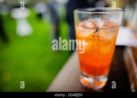 Bucarest, Roumanie - 17 juin 2021 : détails de la faible profondeur de champ (mise au point sélective) avec un verre étiqueté Johnnie Walker sur un comptoir de bar. Banque D'Images