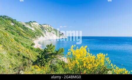 La plage de Mezzavalle vue d'en haut baie unique dans le parc naturel de Conero spectaculaire côte promontoire falaise mer adriatique Italie turquoise transparent Banque D'Images