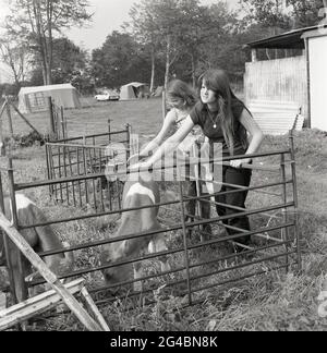 Années 1980, historique, à côté de leur emplacement de camp sur une ferme, deux adolescentes par une enceinte clôturée qui a bouché quelques chèvres, Hordle, Hamphir, Angleterre, Royaume-Uni. Les membres de la famille Boviade, qui comprend également le bétail et les moutons, les chèvres sont des créatures sociales qui vivent dans des groupes connus sous le nom de troupeaux. Ce sont des animaux intelligents, indépendants et naturellement curieux et ils ont été l'un des premiers animaux domestiques au monde. Banque D'Images