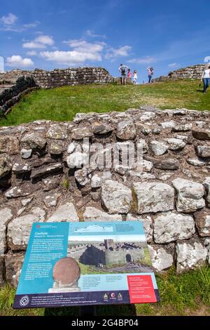 Milecastle 42 champs de Cawfields le long du mur d'Hadrien construit par Roman longue distance sentier national chemin Northumberland Banque D'Images