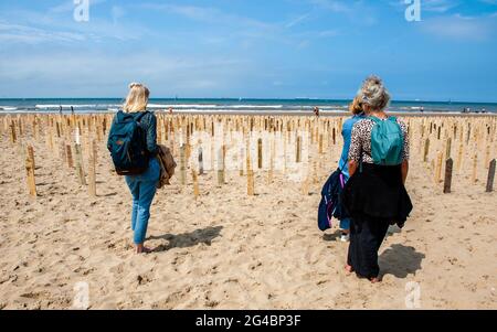 La Haye, pays-Bas. 20 juin 2021. Le jour de la Journée mondiale des réfugiés, les gens de toute l'Europe commémorent les 44.000 victimes qui sont mortes aux frontières européennes au cours des dernières années. Sur la plage de Scheveningen, à la Haye, un monument commémoratif a été placé près de la mer pour payer le dernier respect aux victimes. Le monument commémoratif se composait de 44.000 panneaux commémoratifs en bois sortant du sable sur la plage avec les noms des victimes écrits sur eux. Crédit : SOPA Images Limited/Alamy Live News Banque D'Images