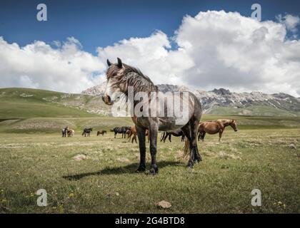 Un autre jour dans le petit Tibet sauvage, en Italie. Banque D'Images