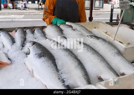 Exposition de saumon entier sur glace à vendre au marché, monteur de poisson, Londres greenwich, Angleterre Banque D'Images