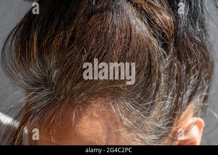 Gros plan d'une femme d'âge moyen de race blanche avec des cheveux brun foncé et des racines de cheveux gris renoyés Banque D'Images