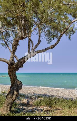 Plage de Moncofa Costa del Azahar dans la province de Castellon, Espagne, Europe Banque D'Images