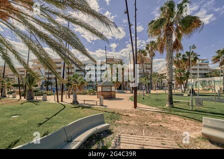 Jardin parc sur la promenade sur la plage de Moncofa Costa del Azahar dans la province de Castellón, Espagne, Europe Banque D'Images