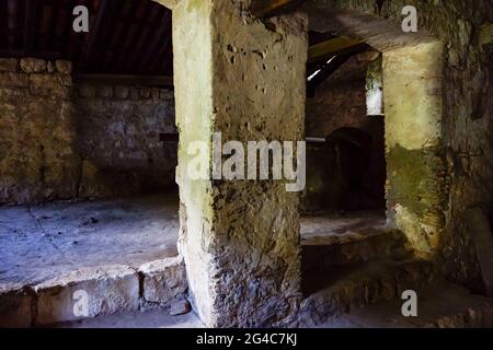 Croatie, Trsteno - ancienne pierre de moulin à huile Banque D'Images