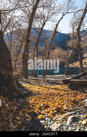 Les feuilles d'automne se rassemblent sur les rochers du lac de la bagne, en hauteur, dans les montagnes de la Sierra Nevada Banque D'Images