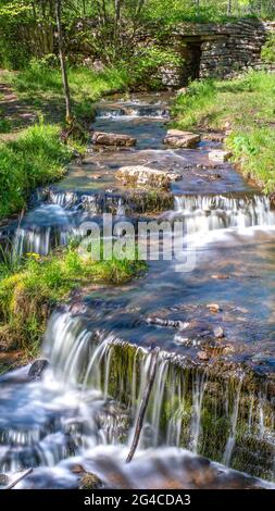 Cascade de Martorpsfallet, ruisseau en déclin dans la forêt sur roche calcaire Banque D'Images