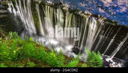 Cascade de Martorpsfallet, ruisseau en déclin dans la forêt sur roche calcaire Banque D'Images